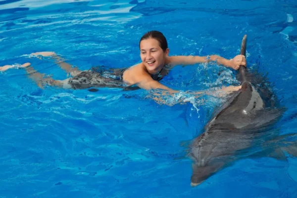 disfruta de tus vacaciones, nadando con delfines en Cancún y rivera maya.