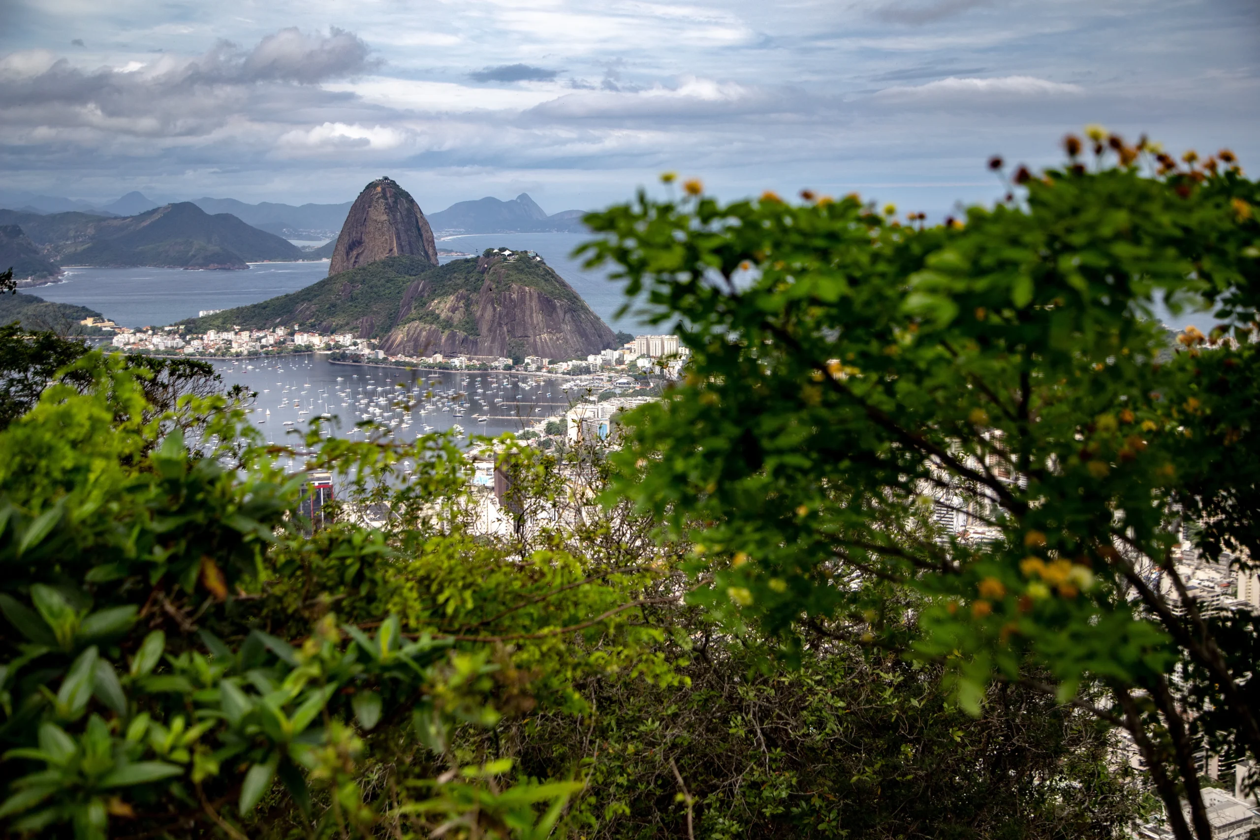 disfruta de unas vacaciones en rio de janeiro y samba donde vas a poder descubrir este increíble lugar.