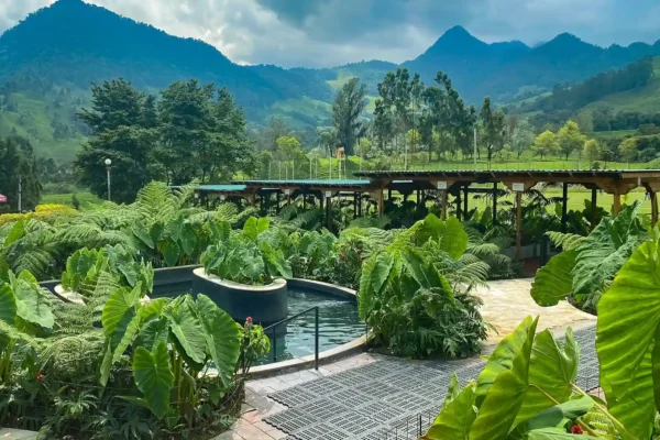 Plan ➜ Manizales +Ecotermales el Otoño