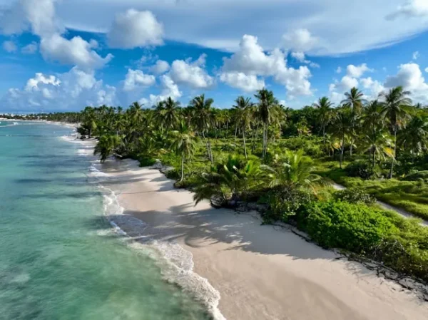 PUNTA CANA + AÉREOS 2026